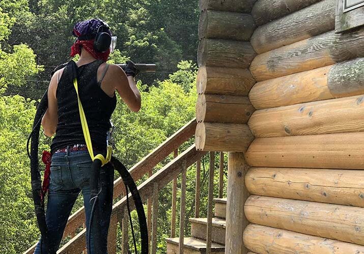 GALLERY_LOG HOME RESTORATION NO GRADIENT (4)