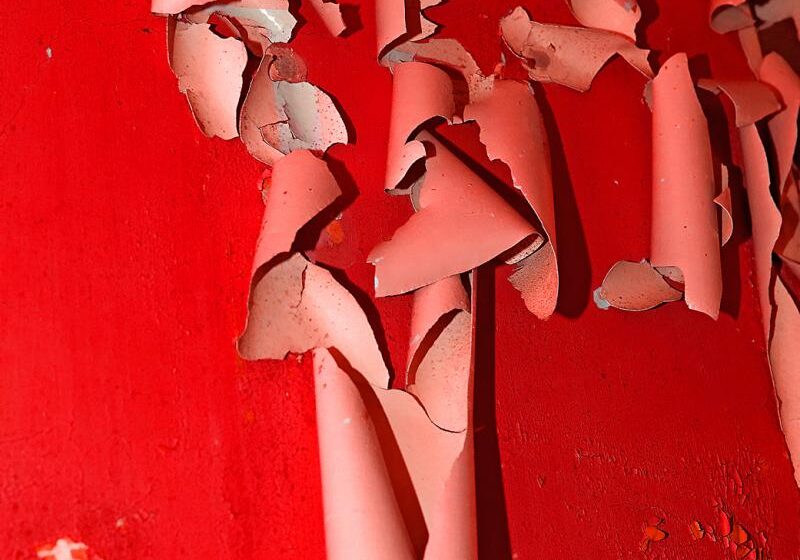 Peeling_paint.247125056_std